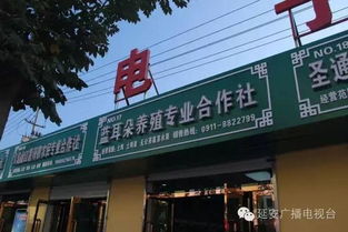 延長有機(jī)農(nóng)特產(chǎn)品直銷市場暨電子商務(wù)體驗(yàn)區(qū) 開啟電子產(chǎn)品批發(fā)零售新篇章
